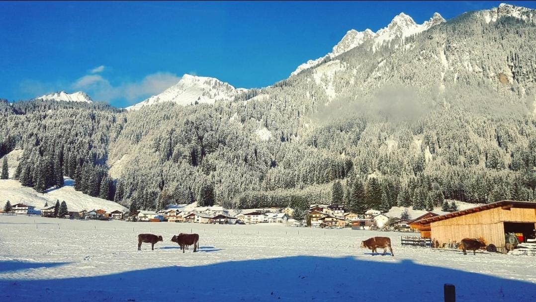 BreitenwangPanoramablick公寓 外观 照片