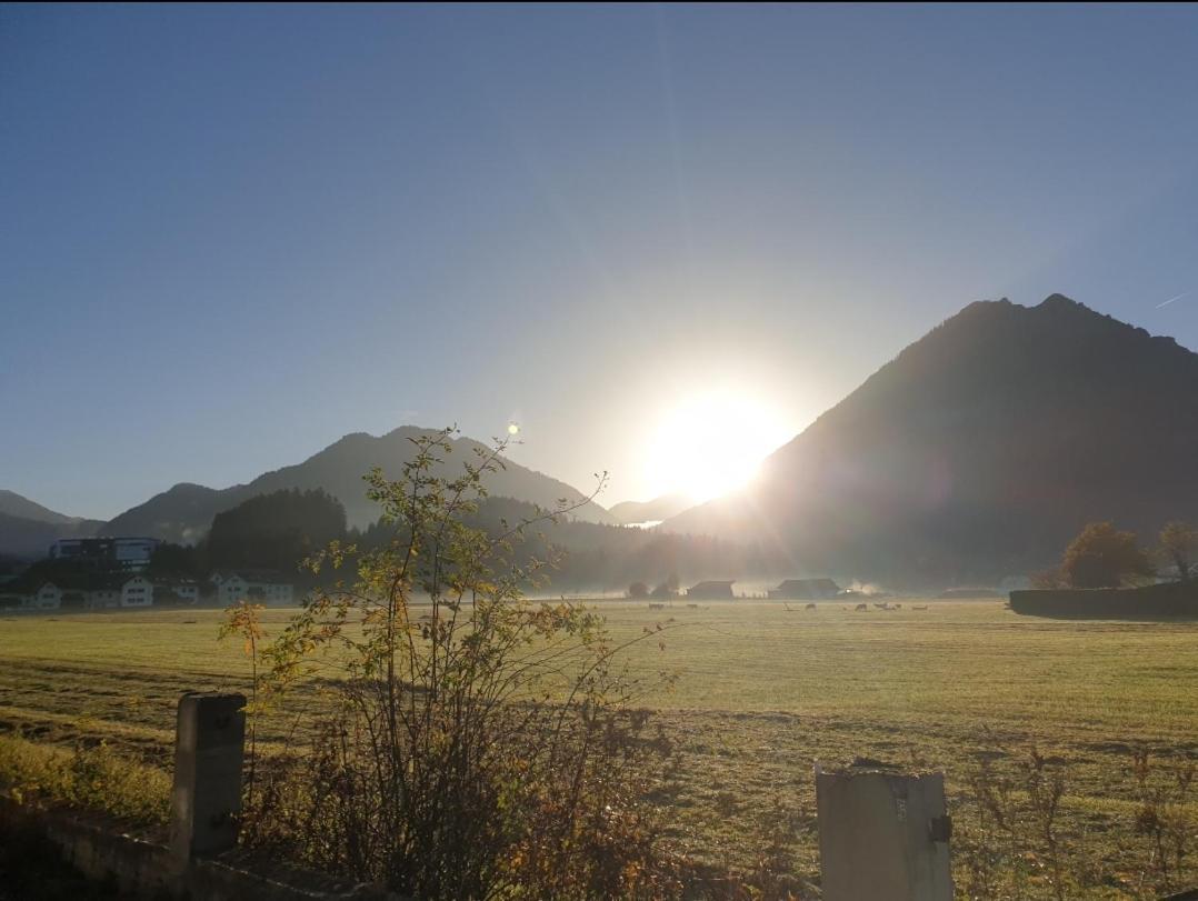 BreitenwangPanoramablick公寓 外观 照片