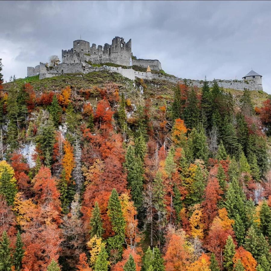 BreitenwangPanoramablick公寓 外观 照片