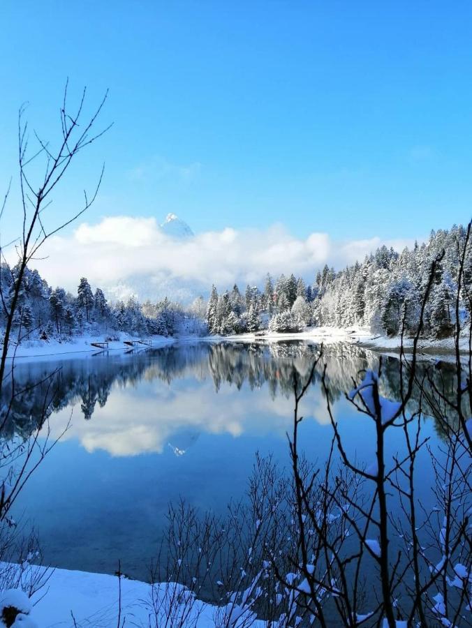 BreitenwangPanoramablick公寓 外观 照片