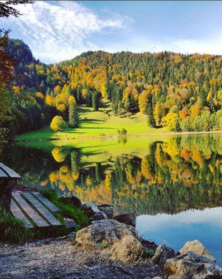 BreitenwangPanoramablick公寓 外观 照片